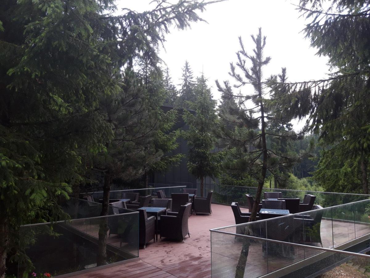 Complex Hotelier Cota O Mie Sinaia Eksteriør bilde